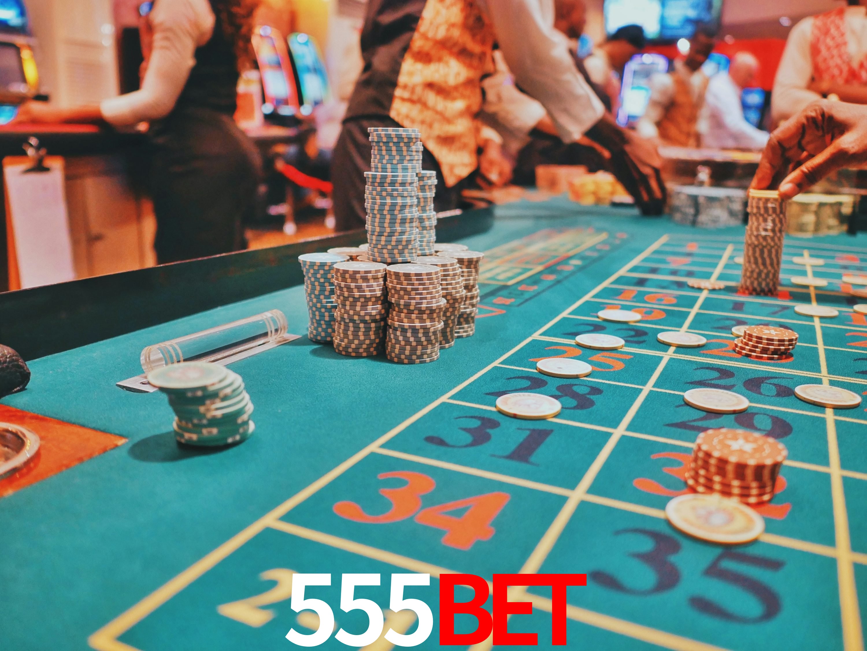 Interface Premium 555bet